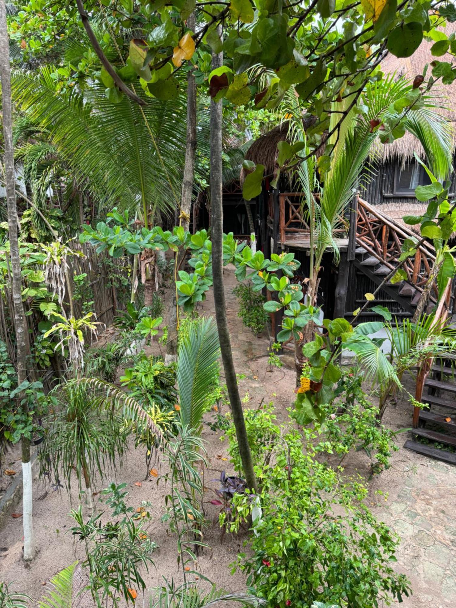 Sivana Tulum Bagian luar foto